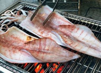 Du lịch Côn Đảo nên mua những loại quà gì cho người thân? Du lịch Côn Đảo nên mua những loại quà gì cho người thân?