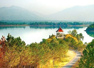 Truy lùng những món đặc sản Gia Lai được du khách yêu thích nhất Truy lùng những món đặc sản Gia Lai được du khách yêu thích nhất