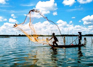 Tour du lịch Cà Mau: Chinh phục cực Nam của Tổ Quốc
