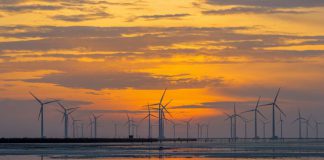 Check in cánh đồng điện gió - Bạc Liêu, chiêm ngưỡng vẻ đẹp mê mẩn&nbsp;