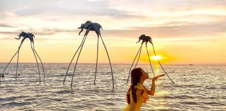 Review chi phí du lịch Phú Quốc 3 ngày 2 đêm bao nhiêu tiền?&nbsp;